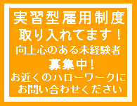 実習型雇用